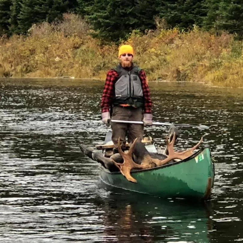 canoeist paddling after a successful moose hunt with moose carcass in the canoe