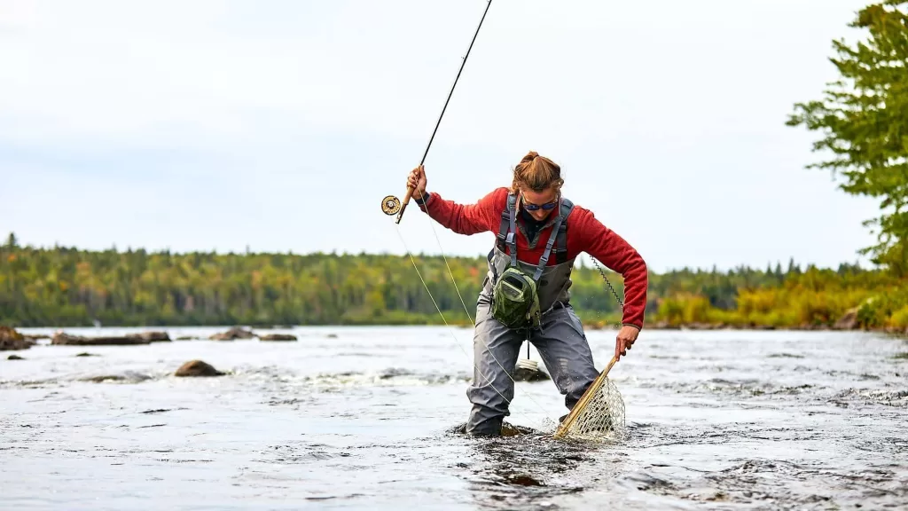 maine fly fisherman nets a fish
