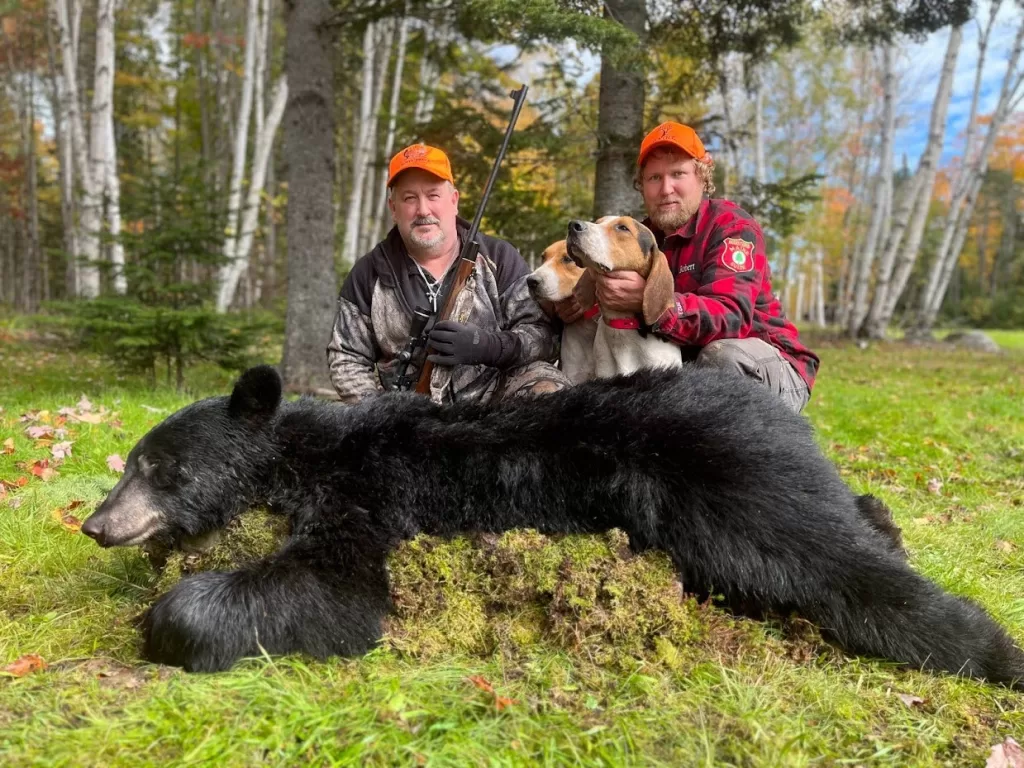 two maine hunters pose with two dogs and a bear after a successful hunt