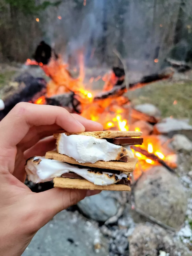 a hand holding a smore in front of a campfire