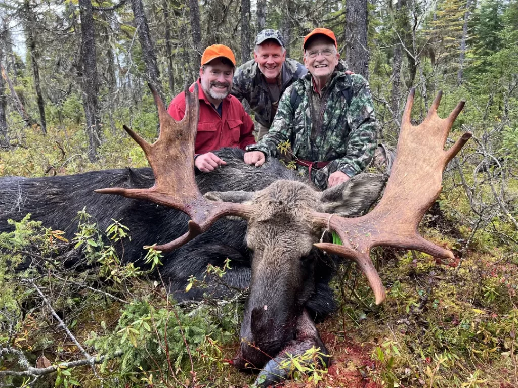 three hunters posing with a moose